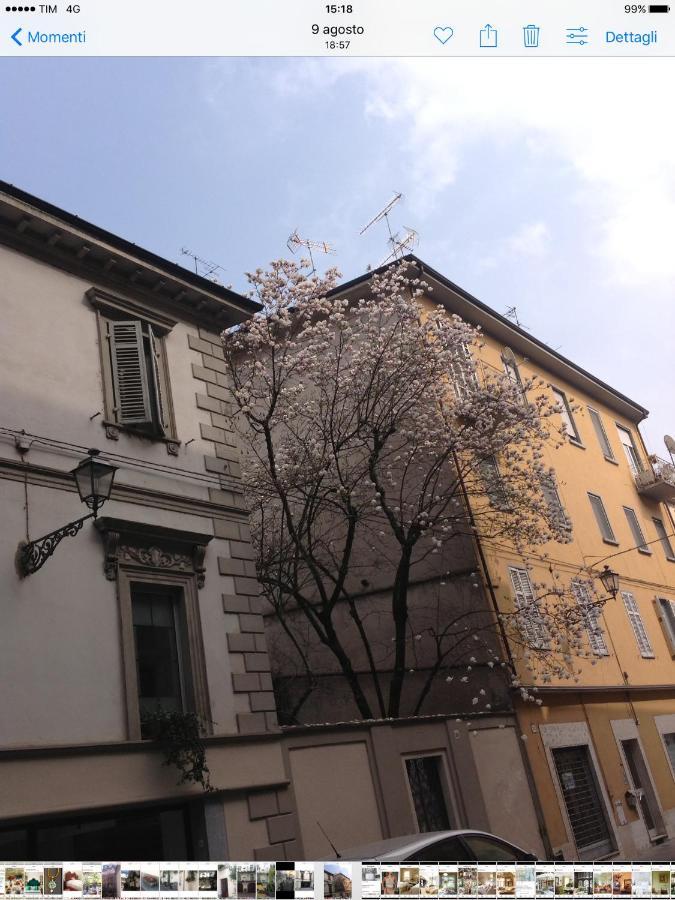 Magnolia Bed & Breakfast Casale Monferrato Exterior foto